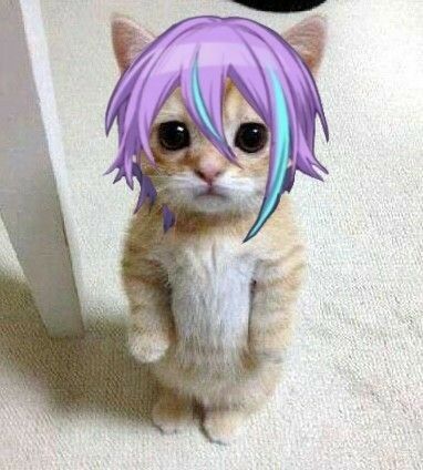 rudy autism creature